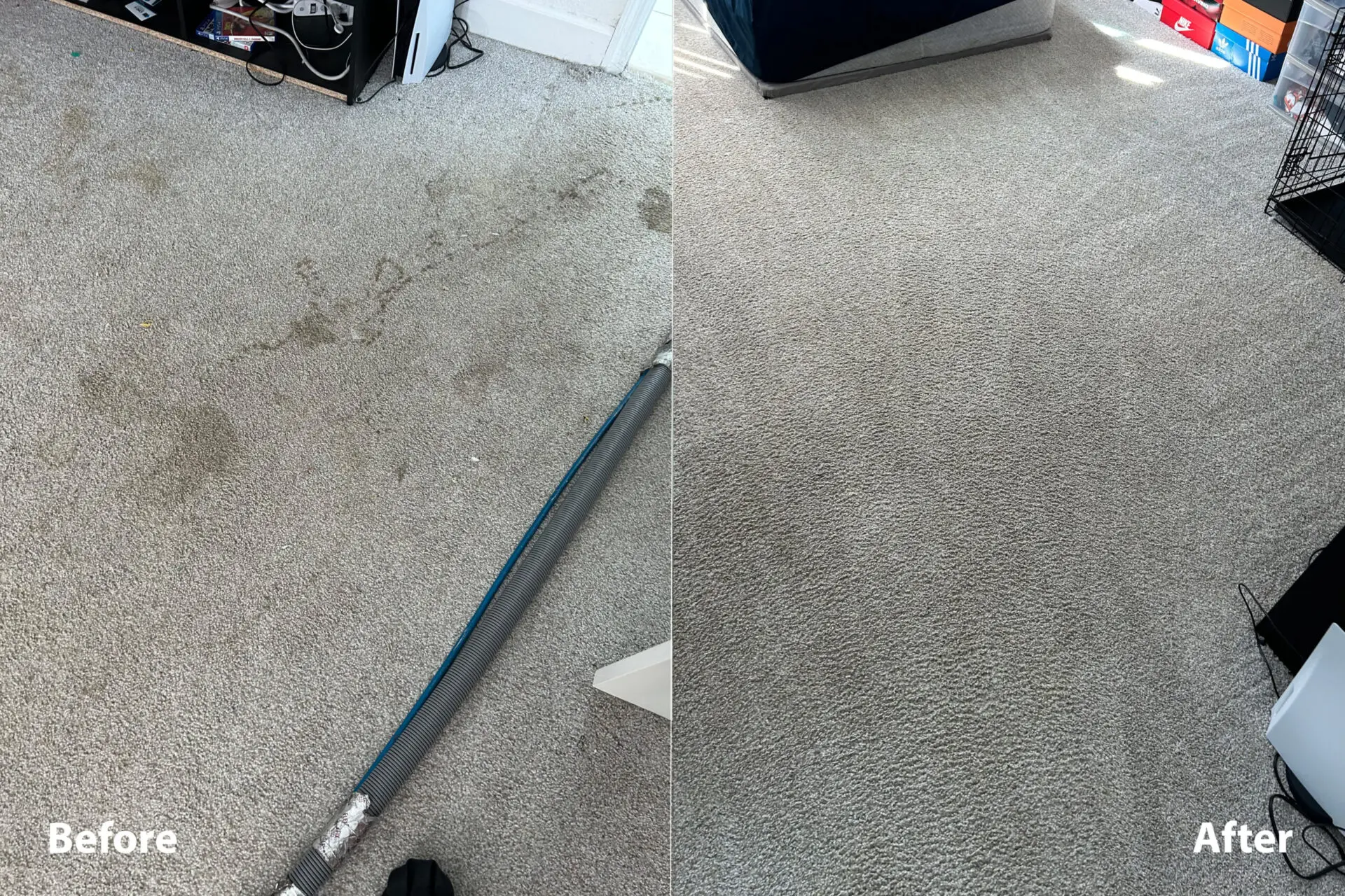 Carpet 2