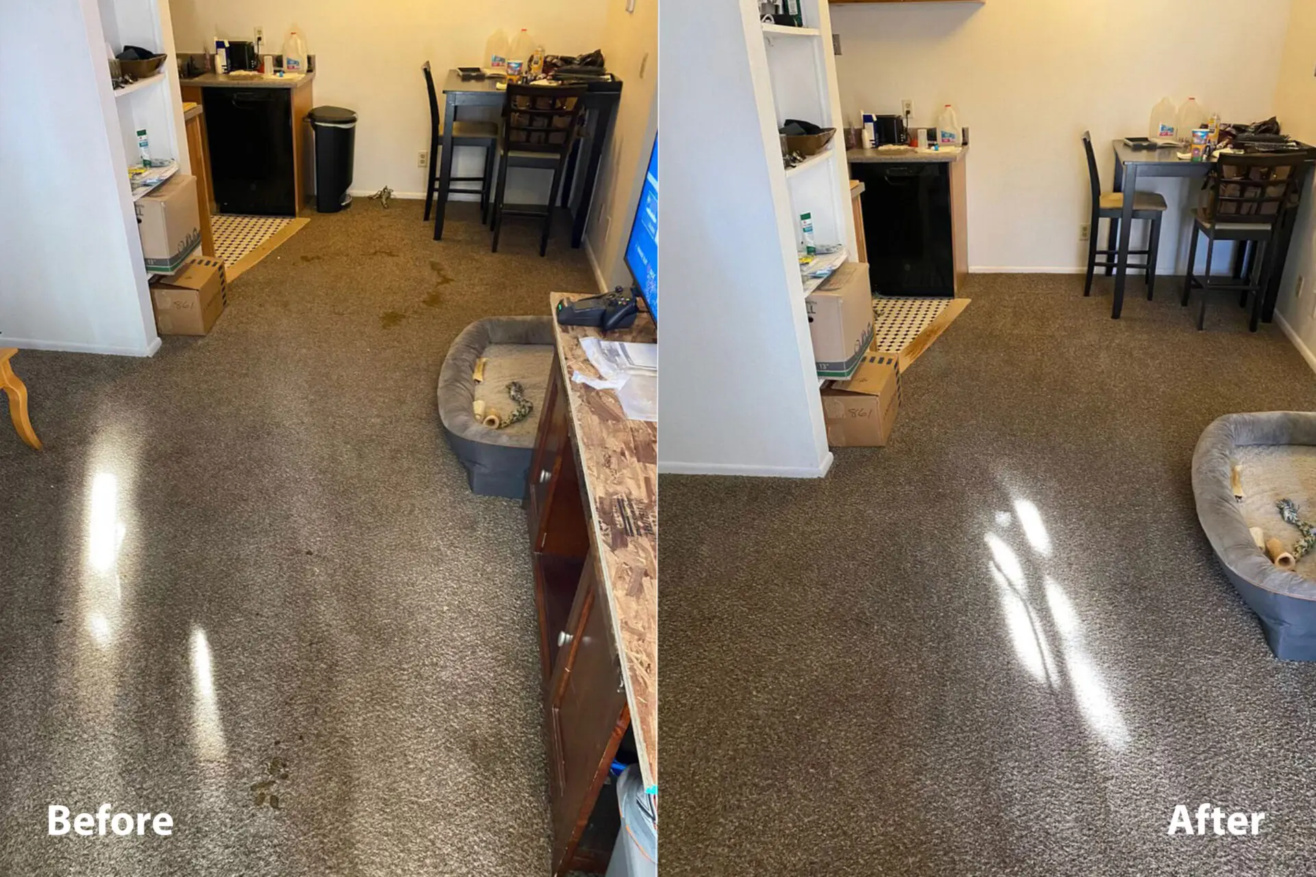 Carpet 4