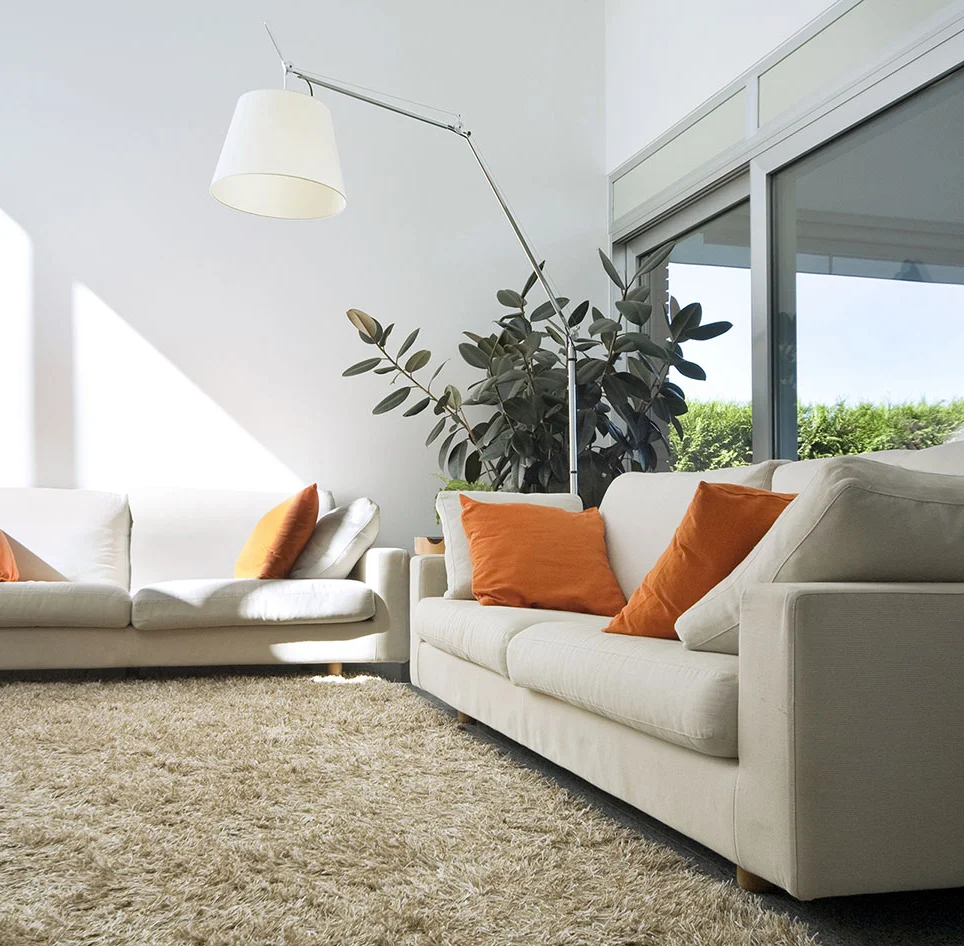 VR Green Cleaning carpet sanitizing service