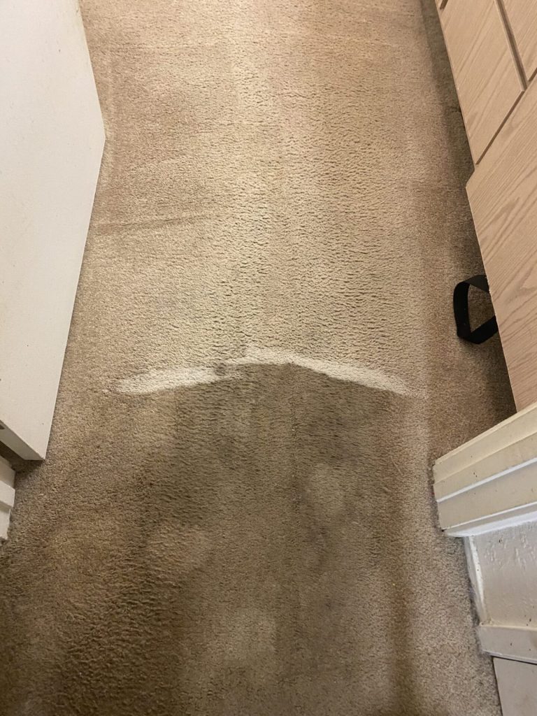 Close-up of carpet showing a clean line between a treated and an untreated section