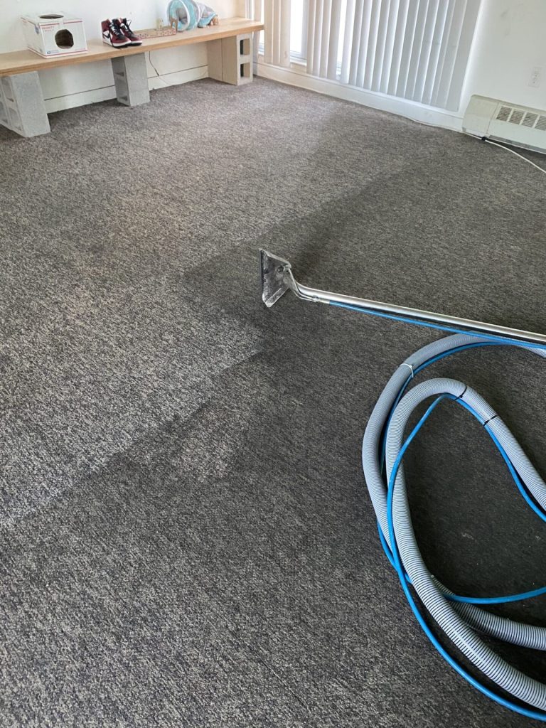 Carpet cleaning service in progress — hot water extraction