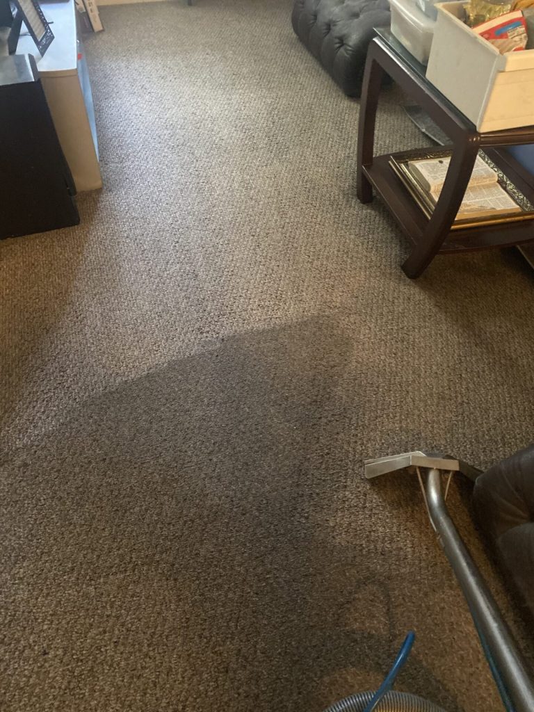 Carpet cleaning technician's wand mid-pass, with a partial clean line visible on the carpet